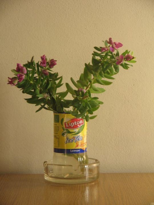 Blumen Kresten Palace Hotel