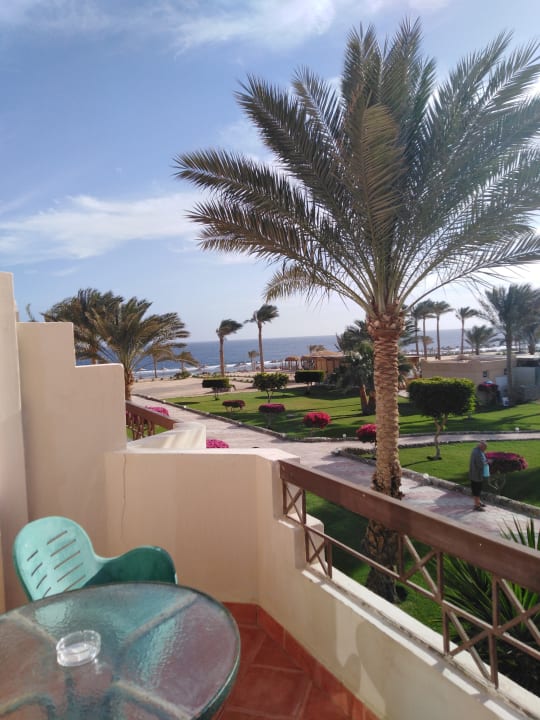 Zimmer Three Corners Sea Beach Resort