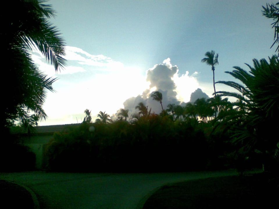 Sonnenuntergang Divi Aruba All Inclusive