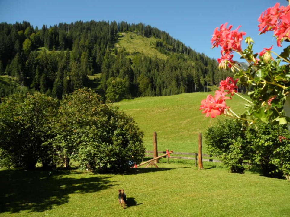 Garten Appartementhaus Alpenland