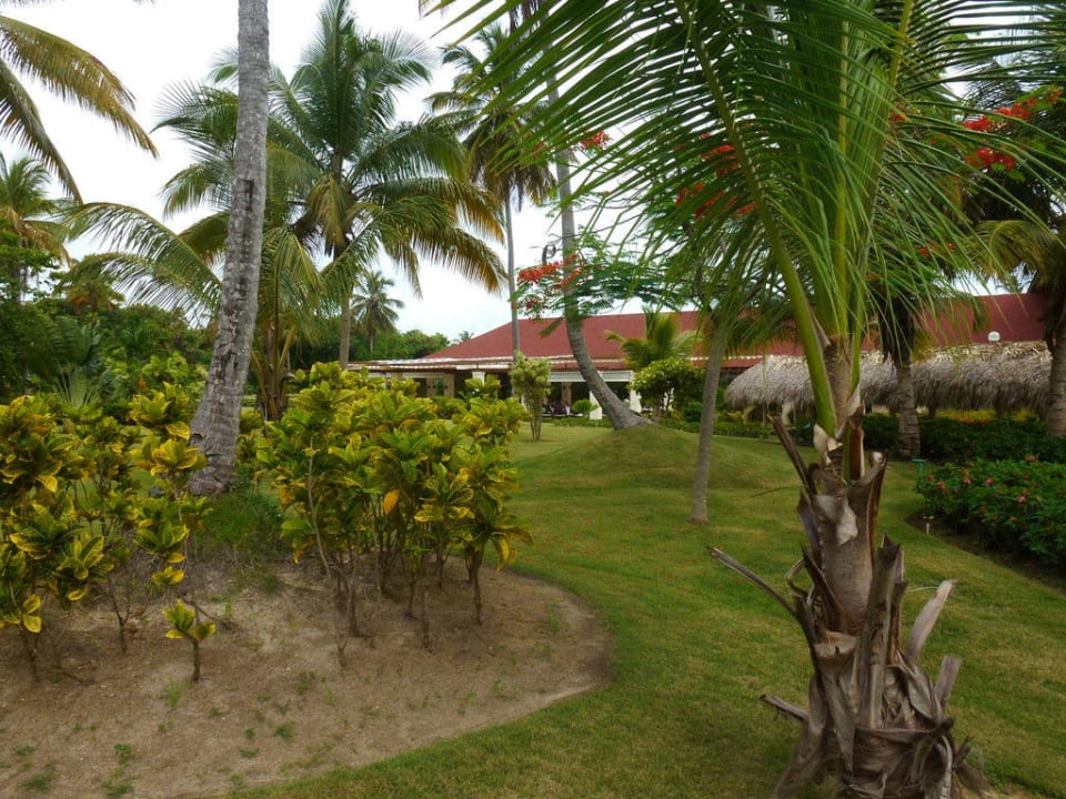 Gourmet & La Chanterelle TRS Turquesa Hotel - Adults only