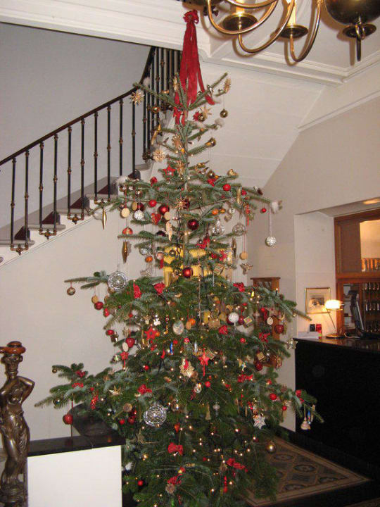Weihnachtsbaum bei der Rezeption  Hotel Krafft Basel