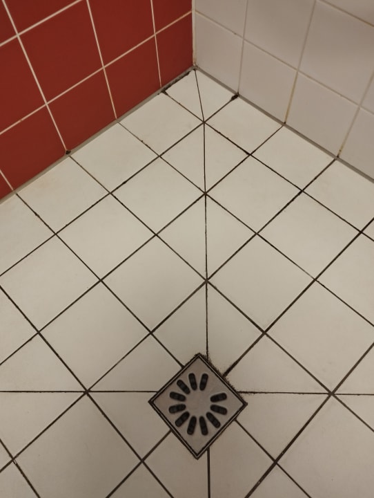 Zimmer B&B HOTEL Magdeburg-City