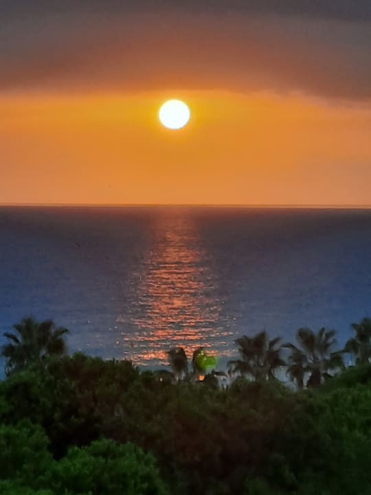 Ausblick Gardenia Hotel