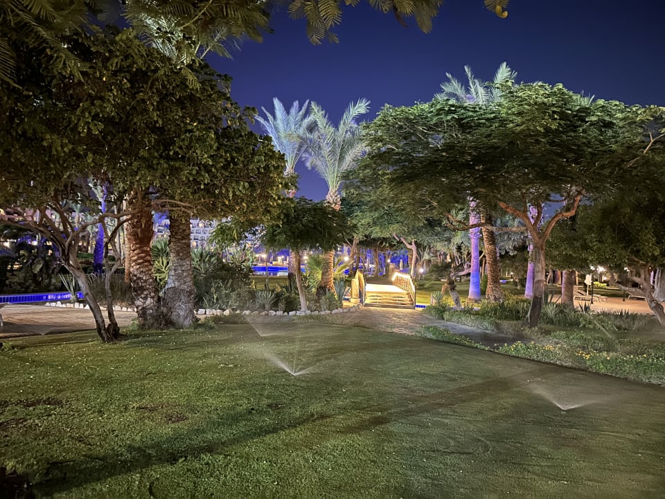 Gartenanlage Steigenberger ALDAU Beach Hotel