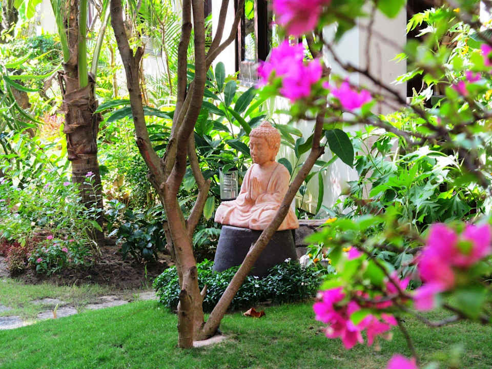 Jardin Hotel Jardin Des Thes