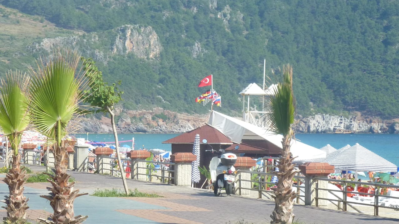 Bar nalezacy do hotelu  Hotel Kleopatra Dreams Beach