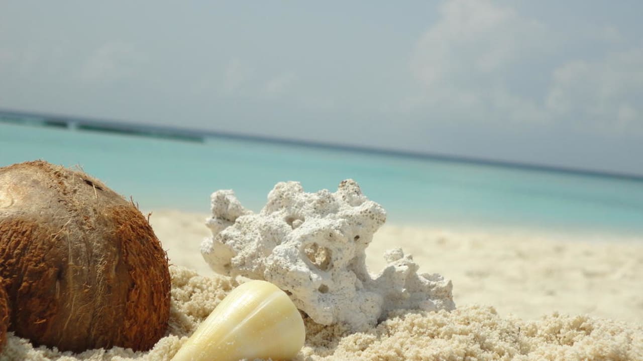 Strand Summer Island Maldives