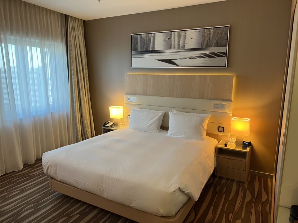 Zimmer Hilton Frankfurt Airport