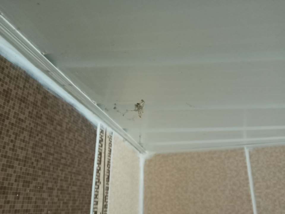 Zimmer Prenses Sealine Beach Hotel