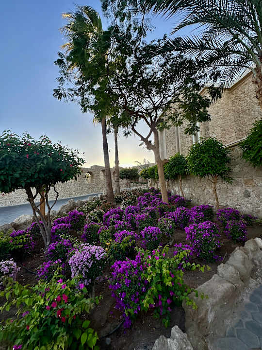 Außenansicht Pickalbatros Citadel Resort