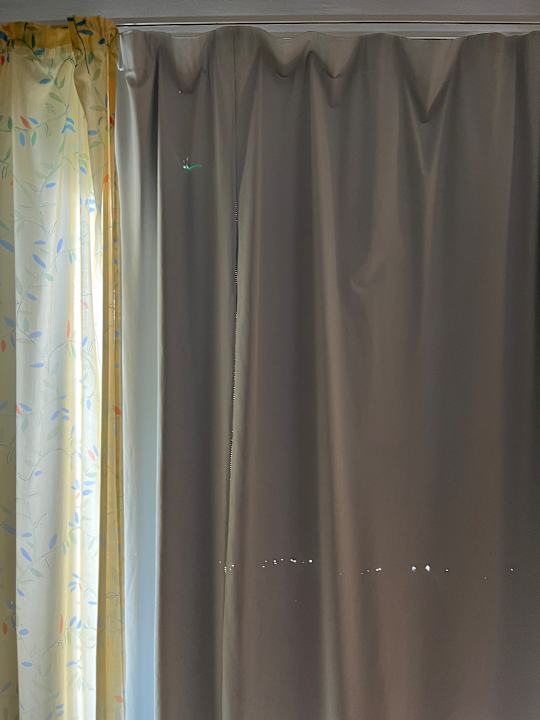 Zimmer Apartments Galeon Playa