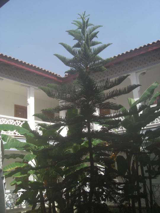 Innenhof Ali Bey Club