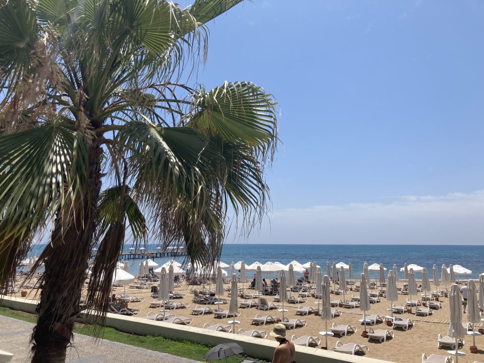 Strand PALOMA Perissia