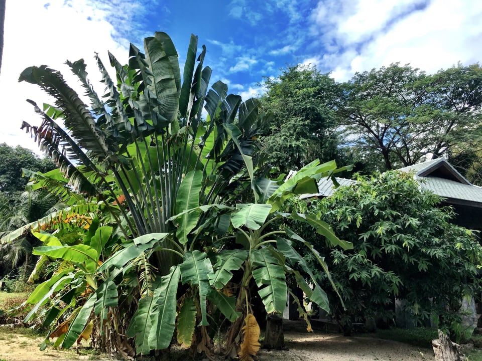 Garden Hotel Thongtapan Resort