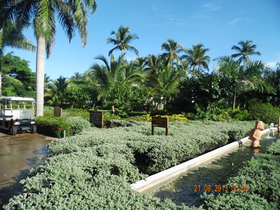 Alles pflanzen Grand Sirenis Punta Cana Resort & Aquagames