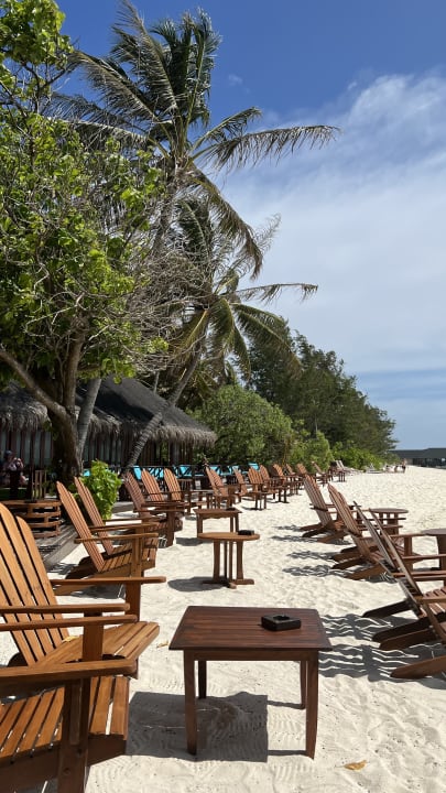 Gastro Summer Island Maldives