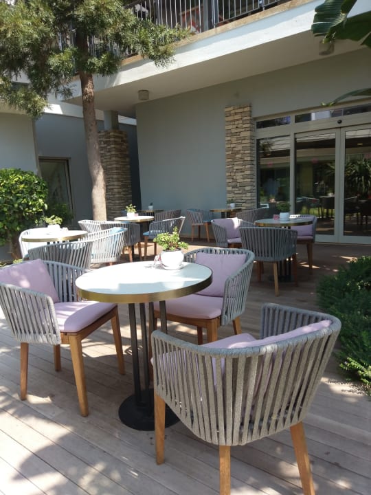 Gastro Lara Barut Collection