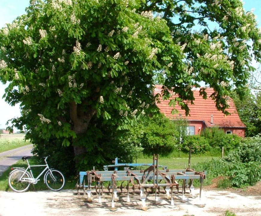 Aussenaufnahme Julianenhof Ferienhof
