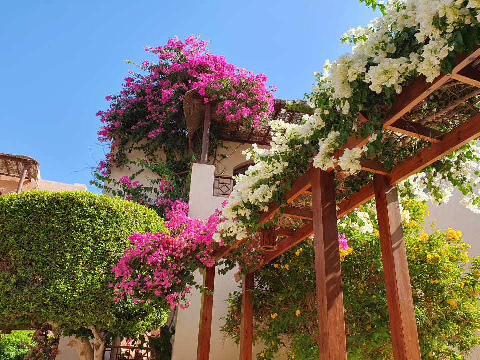 Gartenanlage Sultan Bey Hotel, El Gouna