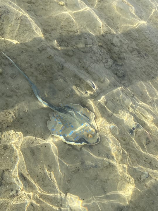 Strand Grand Waterworld Makadi & Family Star Makadi