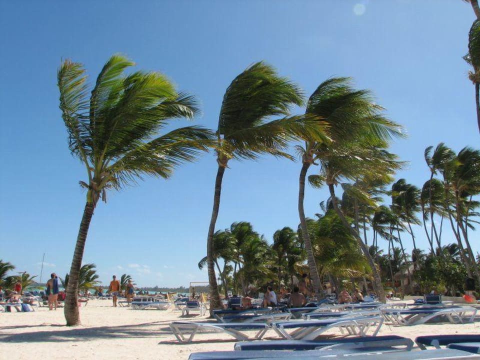 Plaża Villas Bavaro Resort & Spa