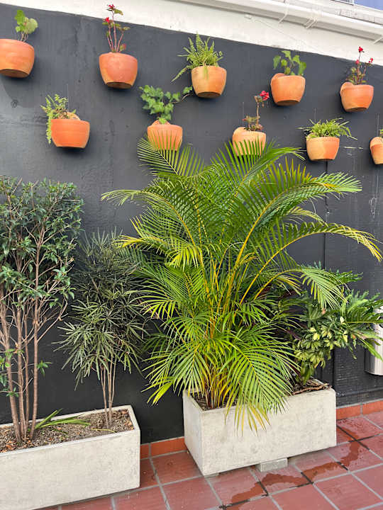 Gartenanlage Masaya Medellin