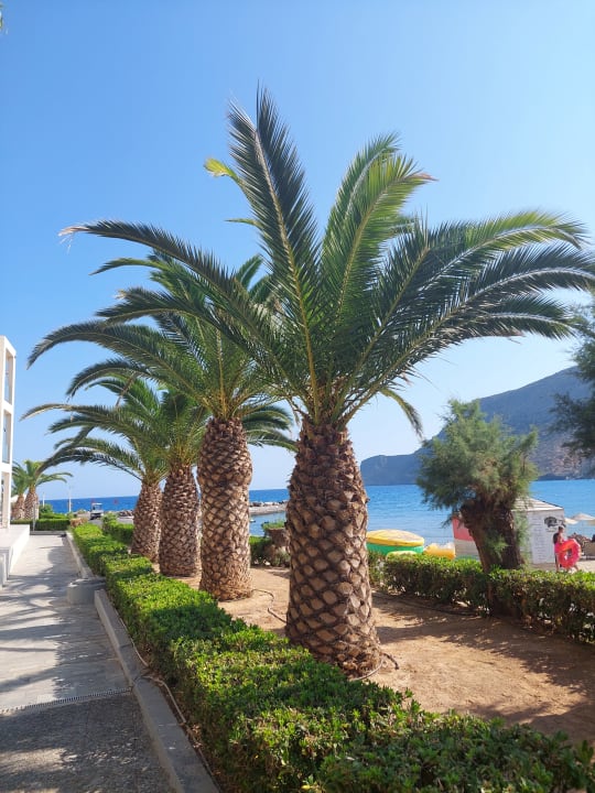 Gartenanlage Fodele Beach & Water Park Holiday Resort