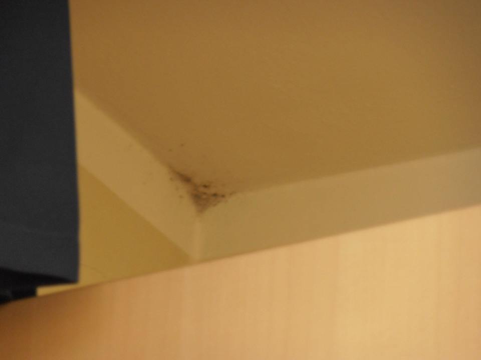 Sowas sollte bei 4 Sternen nicht sein... Hotel Floris