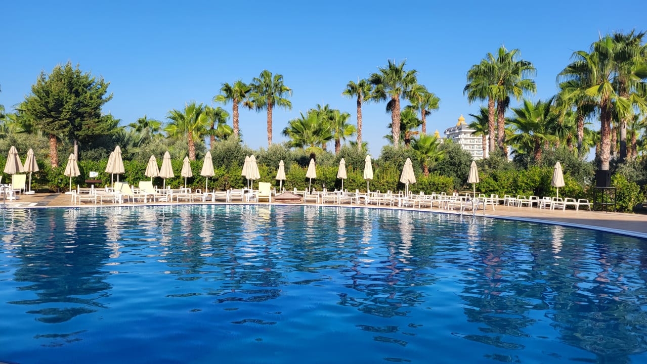 Pool Seaden Sea World Resort & Spa