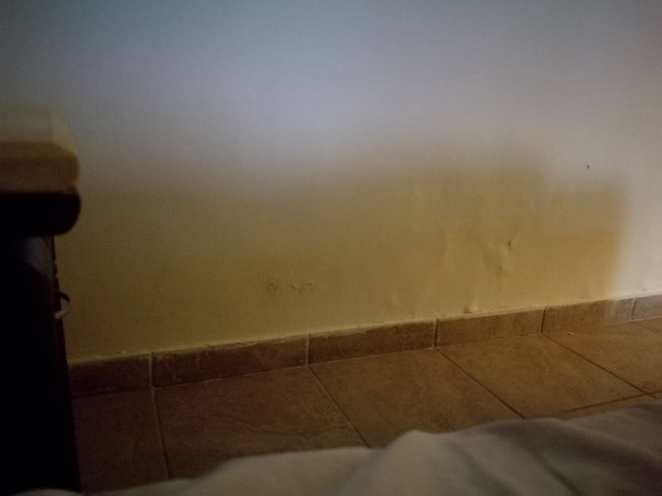 Zimmer Parrotel Aqua Park Resort