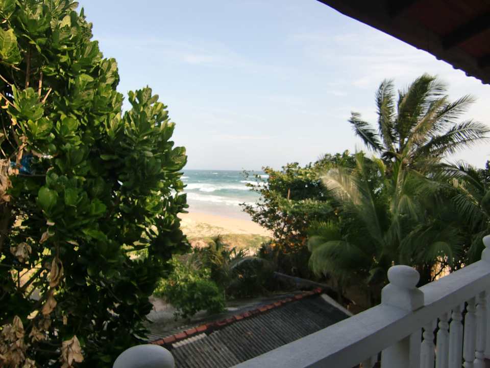 Blick auf´s Nachbargrundstück Hotel Haus am Meer Wilde Ananas