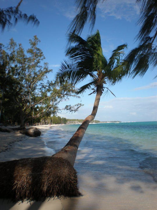 Unberührter Hotelstrand Barceló Bávaro Palace