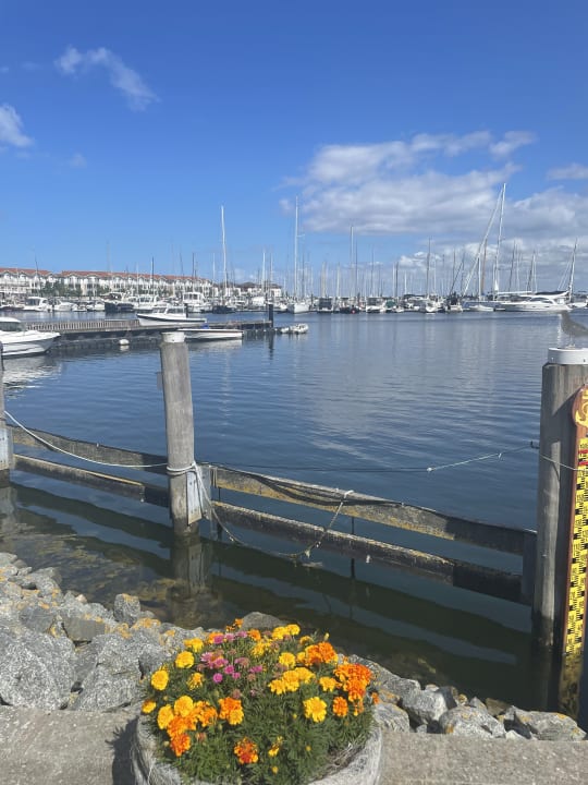 Ausblick BEECH Resort Boltenhagen