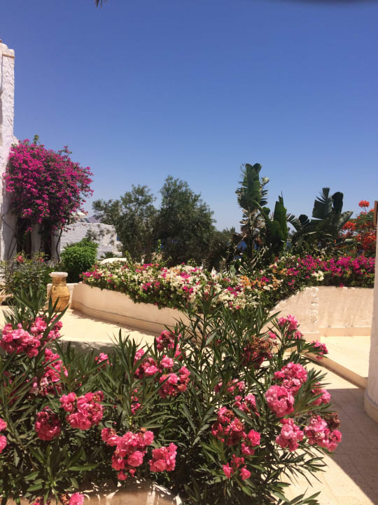 Gartenanlage Sharm Club Beach Resort
