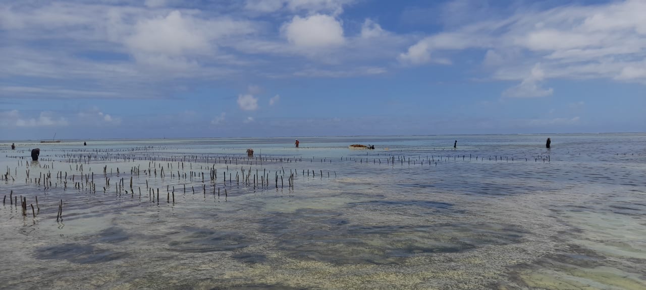 Strand Hotel Kiwengwa Beach Resort