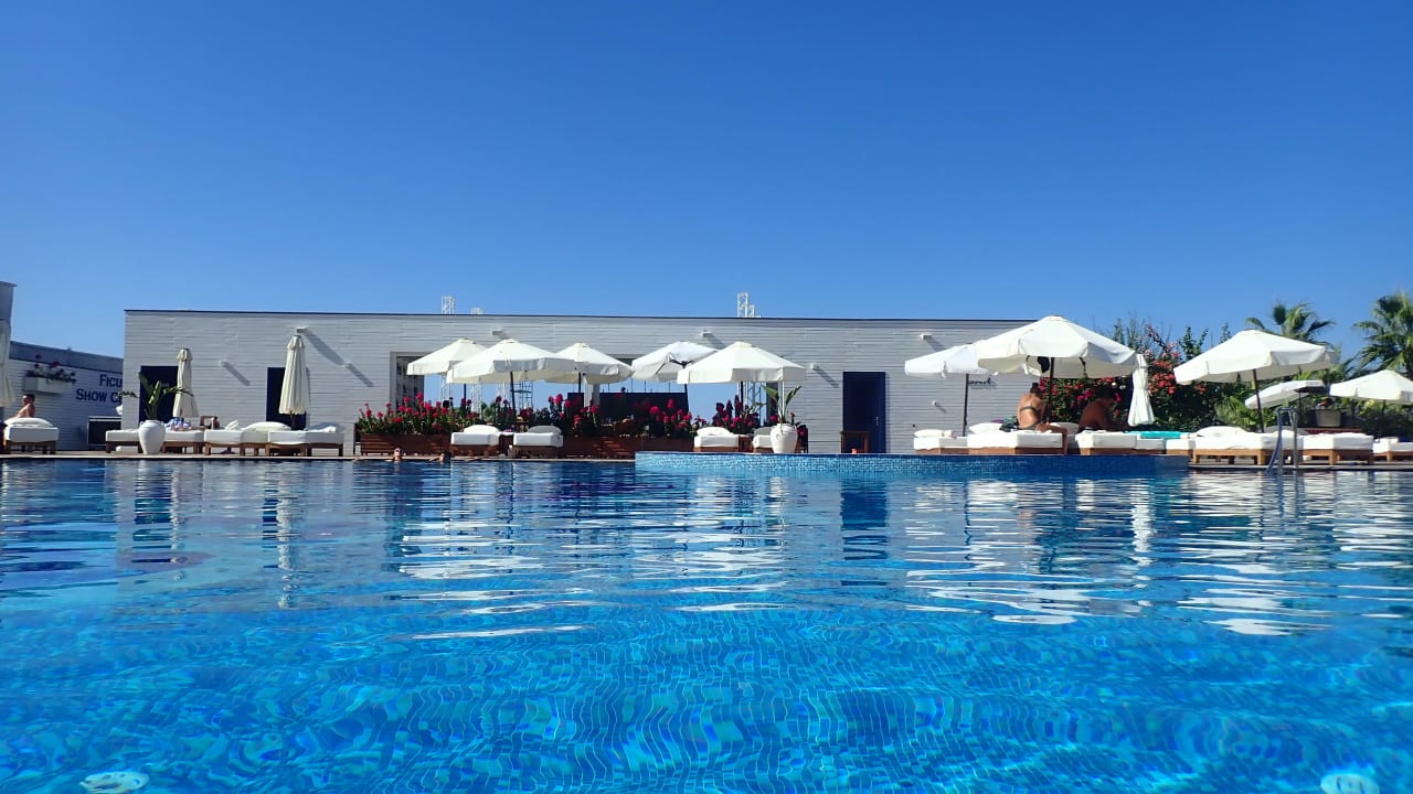 Gastro Rubi Platinum Sign