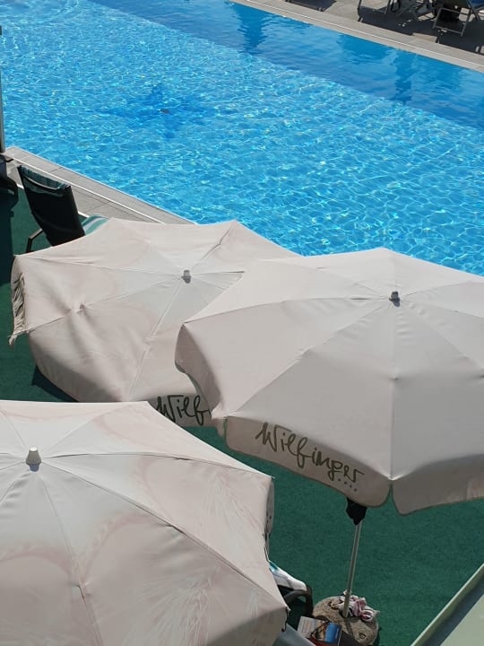 Pool Wilfinger Bio Thermen Hotel