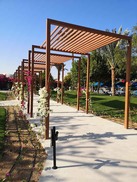 Ausblick Desert Rose