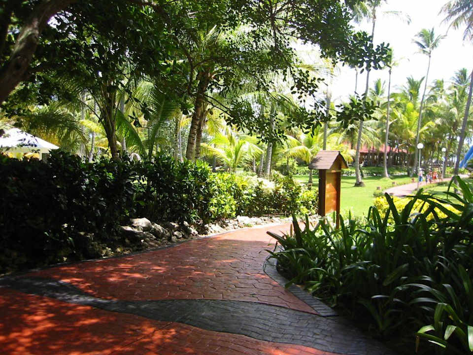 Viele Wege führen zum Strand Grand Palladium Select Bávaro Resort & Spa