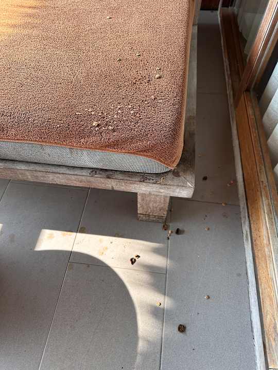 Zimmer The Haad Tien Beach Resort