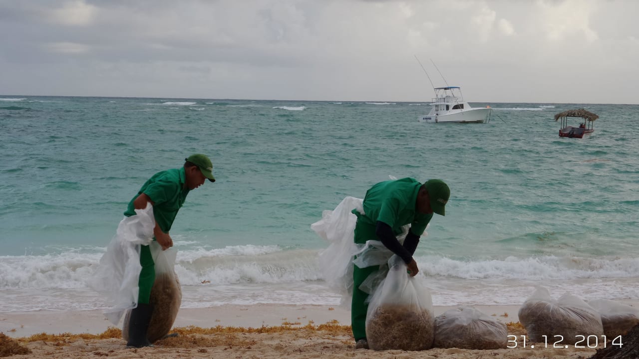 Sporadisches Entfernen des Seegrases in der 2. Wo. TRS Turquesa Hotel - Adults only