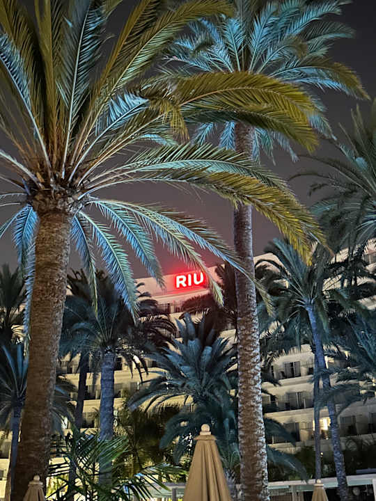 Gartenanlage Hotel Riu Palace Palmeras