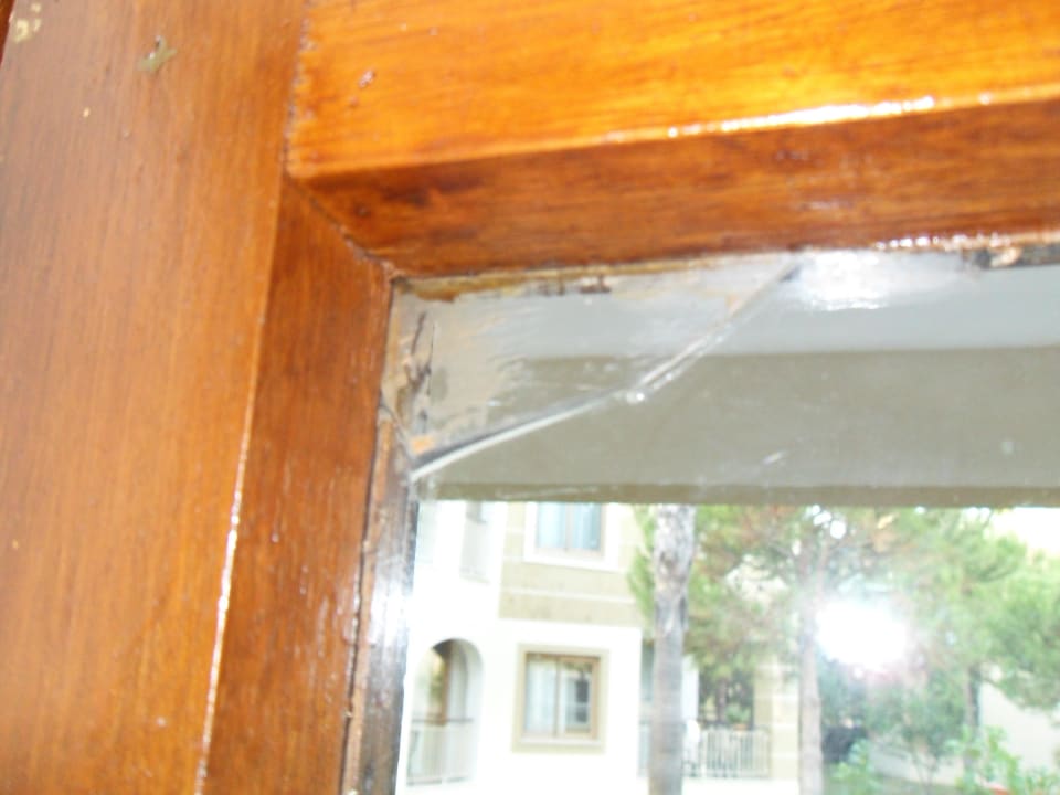 Fensterscheibe Kamelya Aishen Club