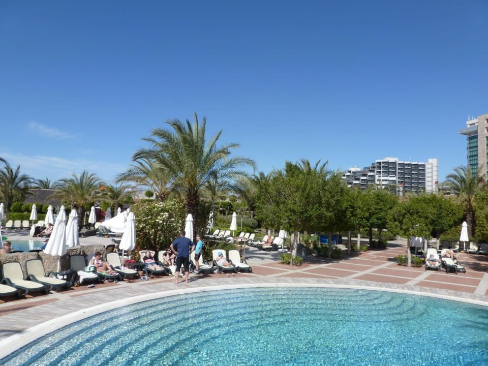 Ein Pool Royal Wings Hotel