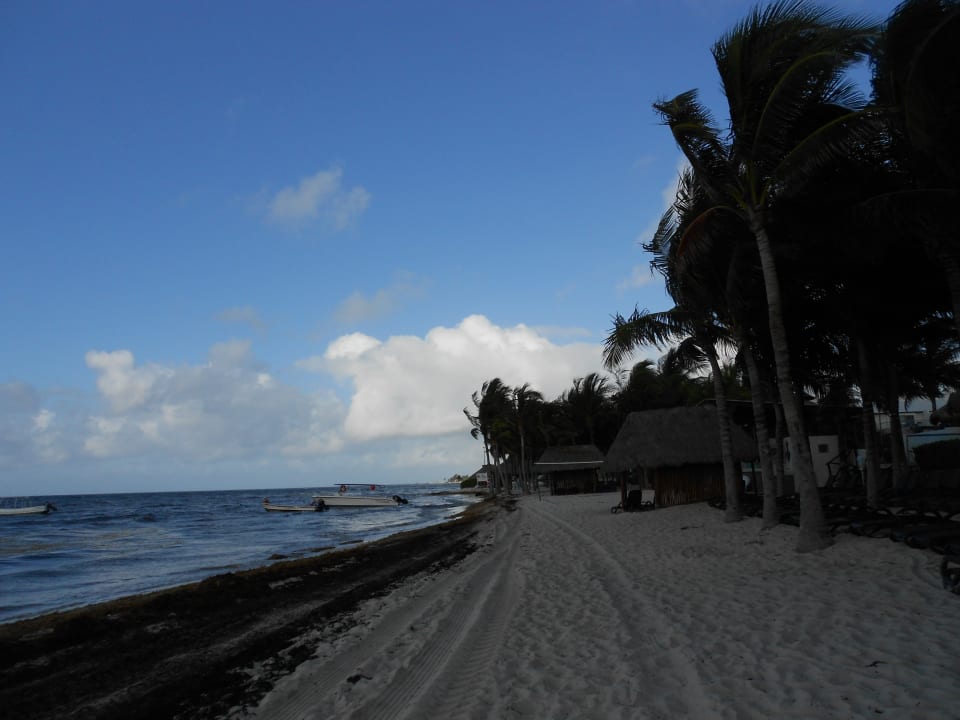 Strand Sandos Caracol Eco Resort & Spa Select Club Adults only - All Inclusive