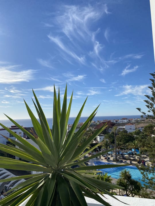 Ausblick allsun App.-Hotel Esquinzo Beach