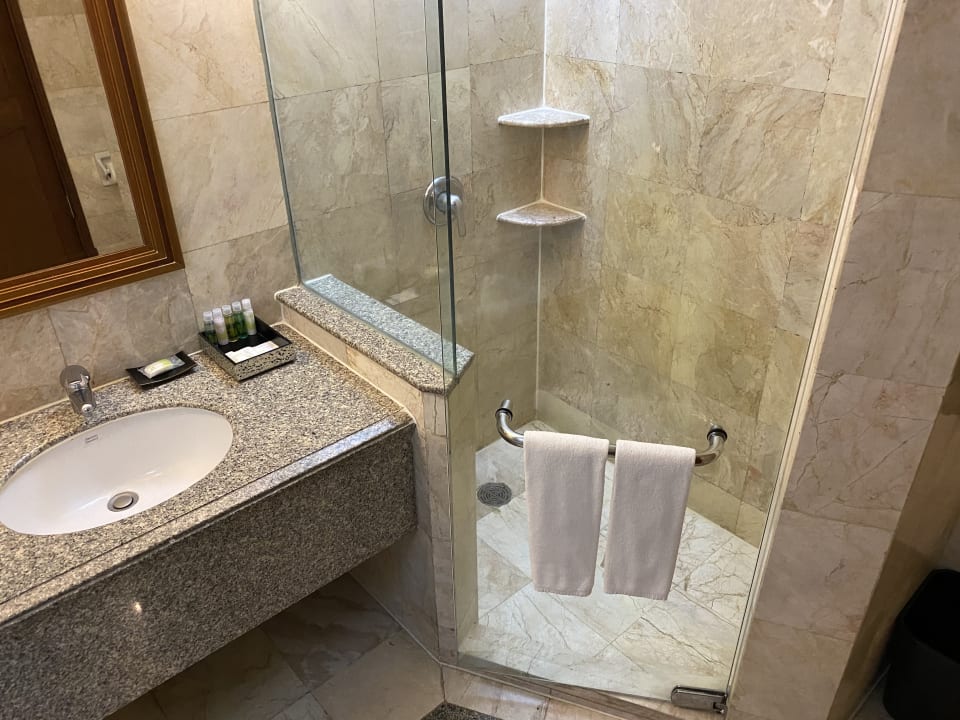 Zimmer Hotel Century Park