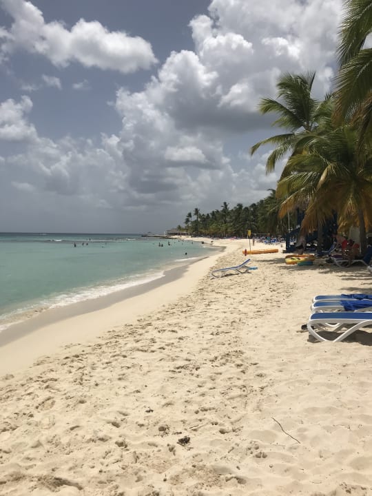Strand Hotel Viva Dominicus Beach by Wyndham - All Inclusive Resort