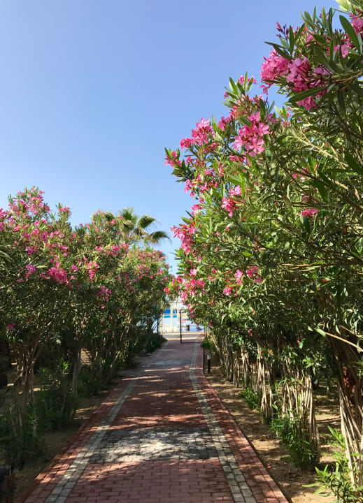 Strand Seaden Sea World Resort & Spa